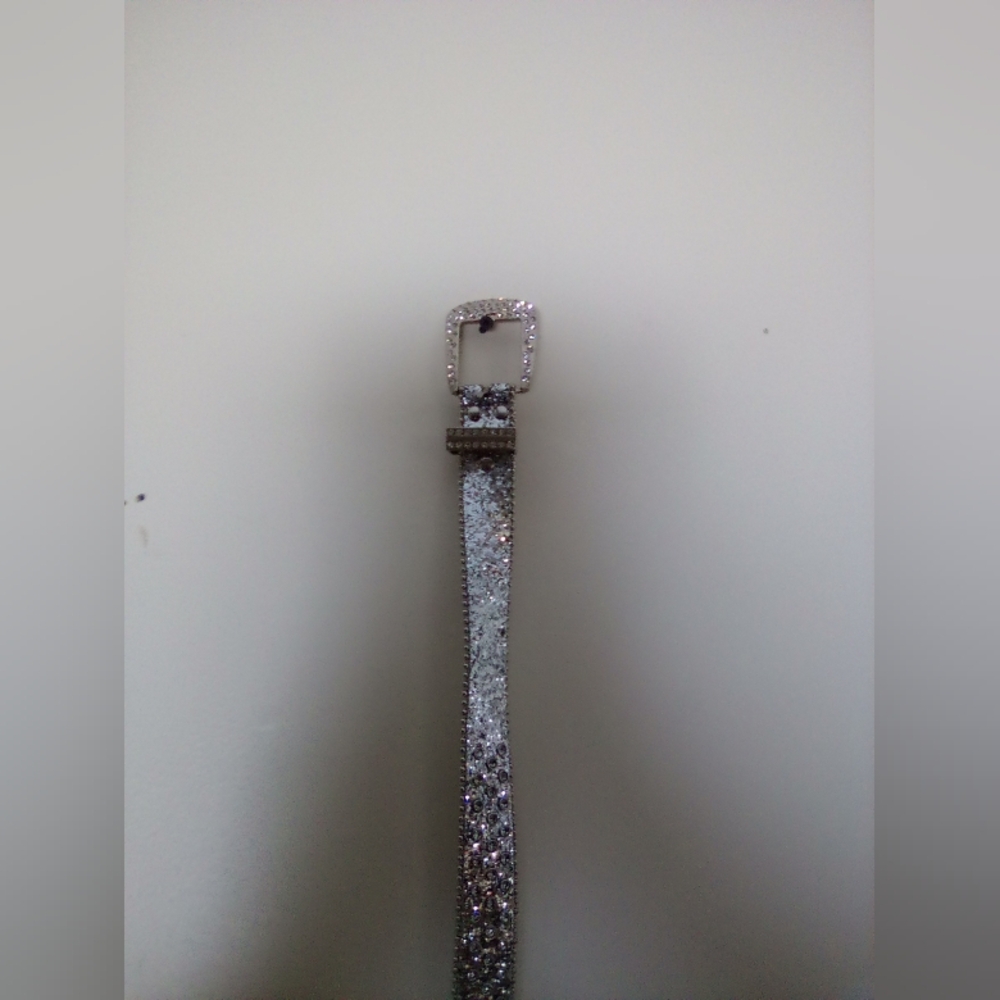 Sparkling Silver Belt 40" - Picture 4 of 8